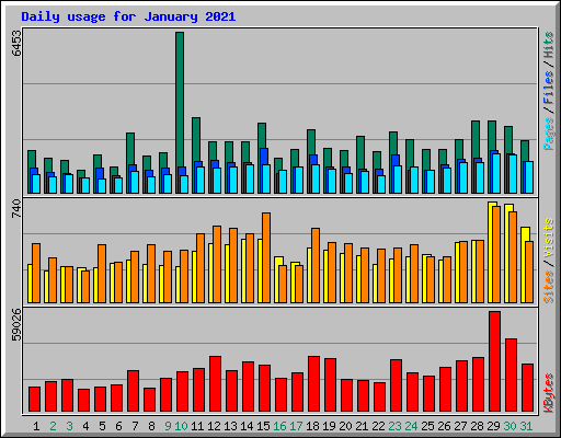 Daily usage for January 2021