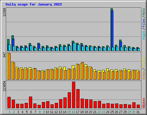 Daily usage for January 2022