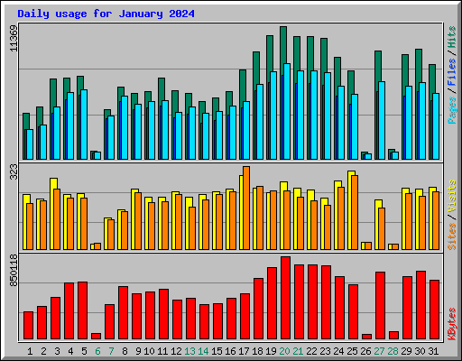 Daily usage for January 2024