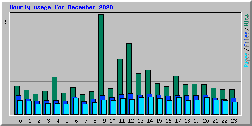 Hourly usage for December 2020