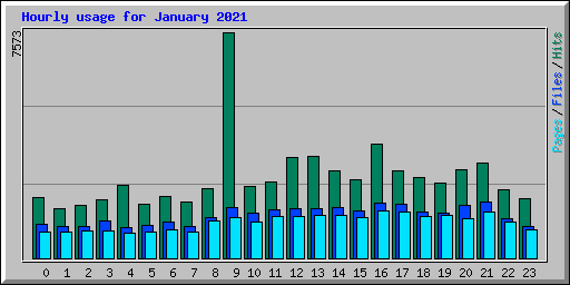 Hourly usage for January 2021