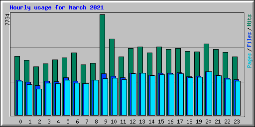 Hourly usage for March 2021