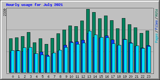 Hourly usage for July 2021