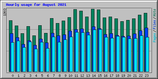 Hourly usage for August 2021