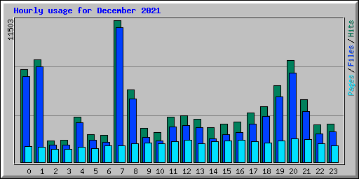 Hourly usage for December 2021