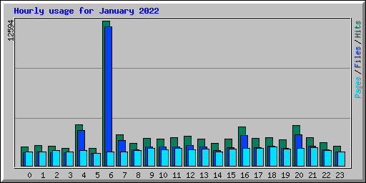 Hourly usage for January 2022