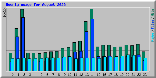 Hourly usage for August 2022