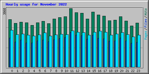 Hourly usage for November 2022