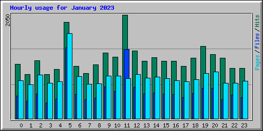 Hourly usage for January 2023