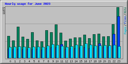 Hourly usage for June 2023