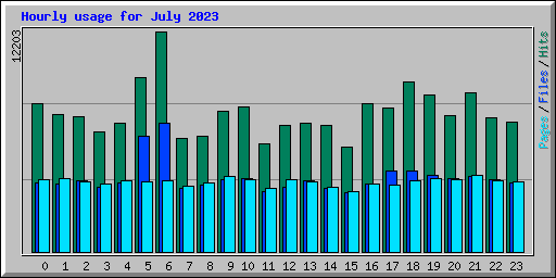 Hourly usage for July 2023