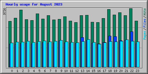 Hourly usage for August 2023