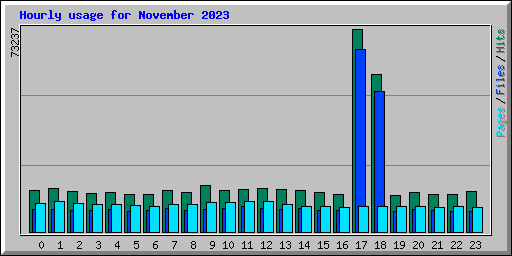 Hourly usage for November 2023