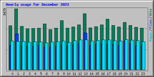 Hourly usage for December 2023