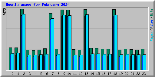 Hourly usage for February 2024